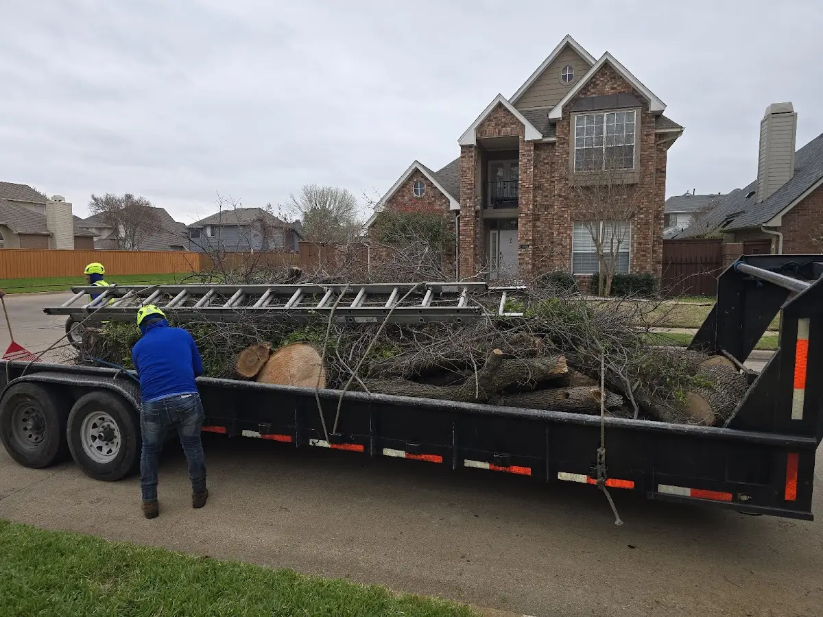 Expert Lot Clearing with proper safety equipment in Genesee